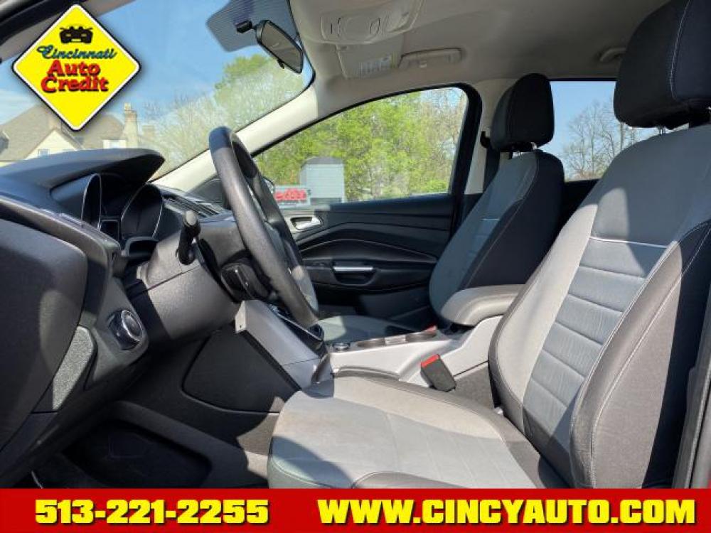 2013 Ruby Red Metallic Tinted Clear Coat Ford Escape SE (1FMCU0GX9DU) with an 1.6 4 Cylinder Direct Injection engine, Automatic transmission, located at 2813 Gilbert Avenue, Cincinnati, OH, 45206, (513) 221-2255, 39.130219, -84.489189 - Photo #5